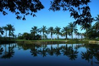 Bukit Jawi Golf Resort - Layout